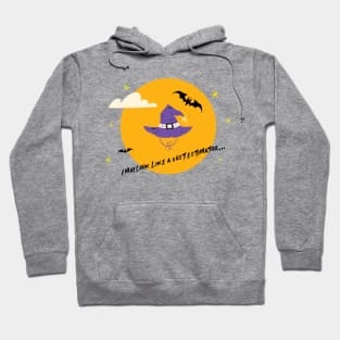 I may look like a cost estimator... Hoodie